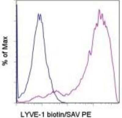 Flow Cytometry: LYVE-1 Antibody (ALY7) [NBP1-43411] - Analysis using the Biotin conjugate of NBP1-43411. Staining of LYVE-1 transfected cells with 0.06 ug of Rat IgG1 k Isotype Control Biotin (blue histogram) or 0.06 ug of Anti-Mouse Lyve-1 Biotin (purple histogram) followed by Streptavidin PE.