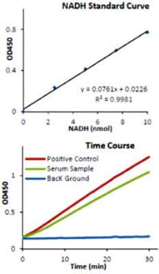 Lactate Dehydrogenase Assay Kit (Colorimetric) [KA0878] - The standard curve is for the purpose of illustration only and should not be used to calculate unknowns. A standard curve should be generated each time the assay is performed.
