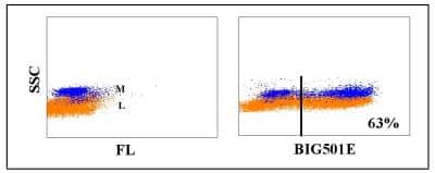 Flow Cytometry: Lambda Light Chain Antibody (BIG501E) [NBP2-60997] - Obtained with bovine leukocytes