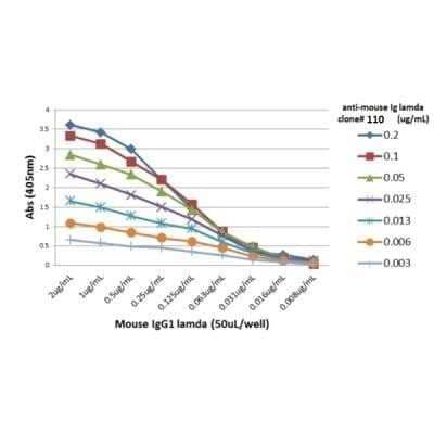 ELISA: Lambda Light Chain Antibody (RM110) [NBP2-61910] - ELISA of mouse immunoglobulins shows NBP2-61910 reacts to the lambda light chain of mouse immunoglobulins. No cross reactivity with the kappa light chain, human IgG, rat IgG, or goat IgG. The plate was coated with different immunoglobulins.NBP2-61910 was used as the primary antibody. An alkaline phosphatase conjugated anti-rabbit IgG as the secondary antibody.