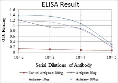 ELISA: Lamin A Antibody (4E7) [NBP2-22180] - Red: Control Antigen (100ng); Purple: Antigen (10ng); Green: Antigen (50ng); Blue: Antigen (100ng)