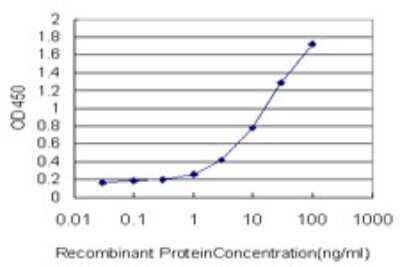 Sandwich ELISA: Laminin gamma 1 Antibody (M1) [H00003915-M03] - Detection limit for recombinant GST tagged LAMC1 is approximately 0.03ng/ml as a capture antibody.