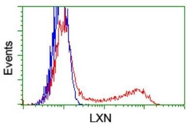 Flow Cytometry: Latexin Antibody (OTI1E10) - Azide and BSA Free [NBP2-72069] - HEK293T cells transfected with either Latexin Human Tagged ORF Clone overexpress plasmid (Red) or empty vector control plasmid (Blue) were immunostaining by anti-LXN antibody , and then analyzed by flow cytometry.