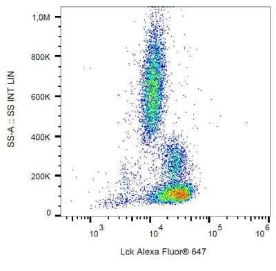 Flow Cytometry: Lck Antibody (LCK-01) [NB500-336] - Staining of Lck in human peripheral blood cells using anti-Lck (LCK-01) Alexa Fluor® 647.