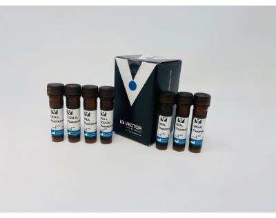 Lectin Kit I Fluorescein Kit [FLK-2100-NB]