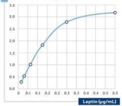 ELISA: Leptin/OB Antibody (11) [Biotin] [NBP2-23586] - The calibration curve of a sandwich assay for Leptin using NBP2-21618 as the capture antibody and NBP2-23586as the biotinylated detection antibody.