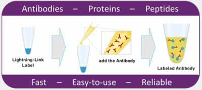 Lightning-Link APC Antibody Labeling Kit [705-0005]