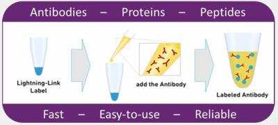 Lightning-Link APC Antibody Labeling Kit [705-0015]