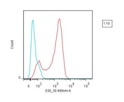 Flow Cytometry: Lightning-Link (R) Atto488 Antibody Labeling Kit - Mouse anti-human CD8 was conjugated with Atto488 using an Expedeon Rapid Lightning-Link kit. The conjugated antibody was then used to stain human peripheral blood lymphocytes, followed by analysis with flow cytometry. (Blue line - negative control; red line - positive staining).
