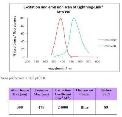 Unknown Lightning-Link (R) Rapid Atto390 Antibody Labeling Kit