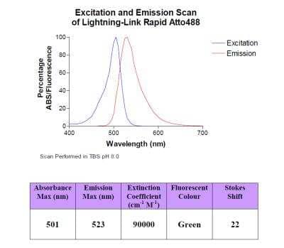 Lightning-Link Rapid Atto488 Antibody Labeling Kit [350-0010]