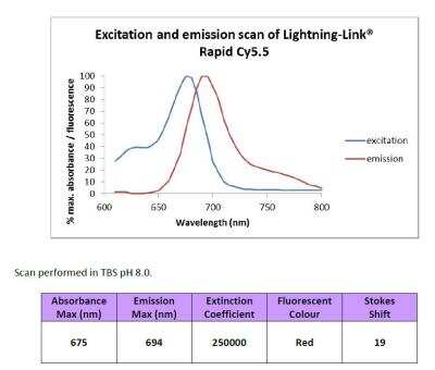 Lightning-Link Rapid Cy5.5 Antibody Labeling Kit [343-0010]