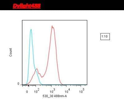 Flow Cytometry: Lightning-Link Rapid DyLight 488 Antibody Labeling Kit [322-0010] - Mouse anti-human CD3 was conjugated with  Dylight® 488 using Lightning-Link ® Rapid kit. The conjugated antibody was then used to stain human peripheral blood lymphocytes, followed by analysis with flow cytometry. (Blue line - negative control; red line - positive staining).