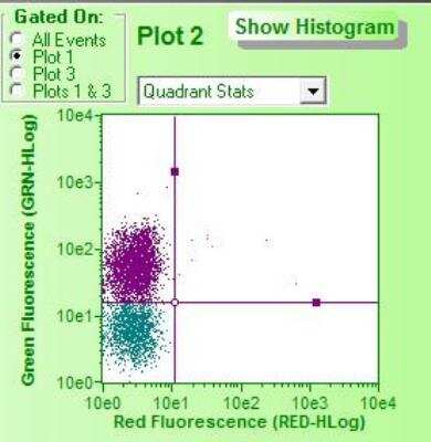 Flow Cytometry: Lightning-Link Rapid DyLight 488 Antibody Labeling Kit [322-0010] - Mouse anti-duck CD4 was conjugated with DyLight 488 using a Lightening-Link Rapid kit. The conjugated antibody was used for flow cytometry. Image from verified customer review.