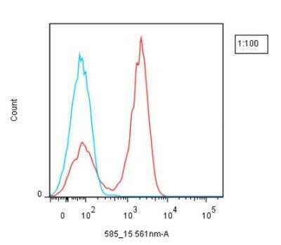 Flow Cytometry: Lightning-Link Rapid DyLight 550 Antibody Labeling Kit [323-0030] - Mouse anti-human CD3 was conjugated with  Dylight® 550 using Lightning-Link ® Rapid kit. The conjugated antibody was then used to stain human peripheral blood lymphocytes, followed by analysis with flow cytometry. (Blue line - negative control; red line - positive staining).