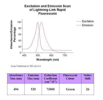 Lightning-Link Rapid Fluorescein Antibody Labeling Kit [310-0010] - Fluorescein is a fluorophore widely used in biological analysis, with a pH dependent absorption and emission spectrum. In TBS LL Rapid-Fluorescein shows an absorption maximum at 494 nm and an emission maximum at 520 nm