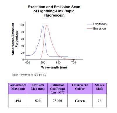 Lightning-Link Rapid Fluorescein Antibody Labeling Kit [310-0015] - Fluorescein is a fluorophore widely used in biological analysis, with a pH dependent absorption and emission spectrum. In TBS LL Rapid-Fluorescein shows an absorption maximum at 494 nm and an emission maximum at 520 nm