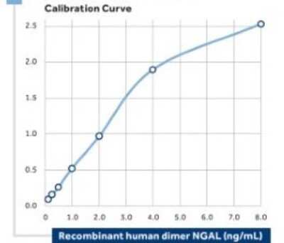 ELISA: Lipocalin-2/NGAL Antibody (14) - BSA Free [NBP1-30002] - The calibration curve of a sandwich assay for Human Dimer NGAL using NBP1-30002 as the capture antibody and NBP1-30002B as the biotinylated detection antibody.