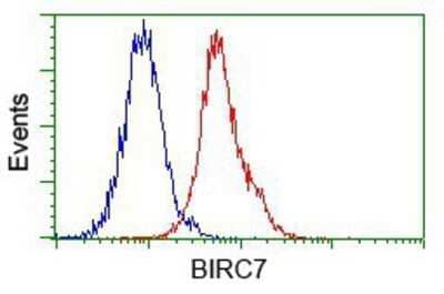 Flow Cytometry: Livin Antibody (OTI1D12) - Azide and BSA Free [NBP2-72206] - Analysis of Jurkat cells, using anti-Livin antibody, (Red) compared to a nonspecific negative control antibody (Blue).