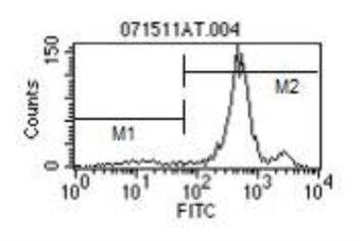 Flow Cytometry: Ly-6C Antibody (HK1.4) [FITC] [NBP1-28047] - 1ug on Balb/c Bone Marrow