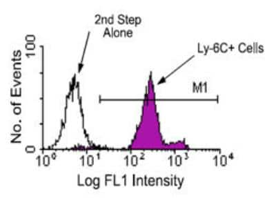 Flow Cytometry: Ly-6C Antibody (HK1.4) [NBP1-28046] - 1 ug/10^6 bone marrow cells from C57BL/6 mice were labeled with purified rat anti-mouse Ly-6C and then stained with goat anti-rat IgG-FITC. Large cells were gated and analyzed by flow cytometry.