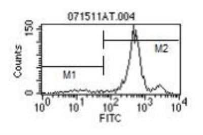 Flow Cytometry: Ly-6C Antibody (HK1.4) [NBP1-28046] - Analysis using the FITC conjugate of NBP1-28046. Staining of 1 ug on Balb/c Bone Marrow.