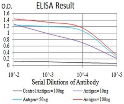 ELISA: Lysine (K)-specific Demethylase 3A/KDM3A/JMJD1A Antibody (3G10C2) [NBP2-61819] - Black line: Control Antigen (100 ng);Purple line: Antigen (10ng); Blue line: Antigen (50 ng); Red line:Antigen (100 ng)
