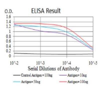 ELISA: Lysine (K)-specific Demethylase 4A/KDM4A/JMJD2A Antibody (6E10G4) [NBP2-52499] - Black line: Control Antigen (100 ng); Purple line: Antigen(10ng); Blue line: Antigen (50 ng); Red line: Antigen (100 ng);