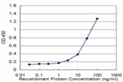 Sandwich ELISA: Lysyl Oxidase Homolog 2/LOXL2 Antibody (3C5) [H00004017-M05] - Detection limit for recombinant GST tagged LOXL2 is approximately 3ng/ml as a capture antibody.