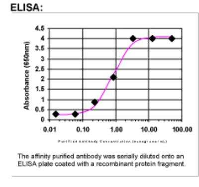 ELISA: M-CSF Antibody [33080002] -  Affinity Purified