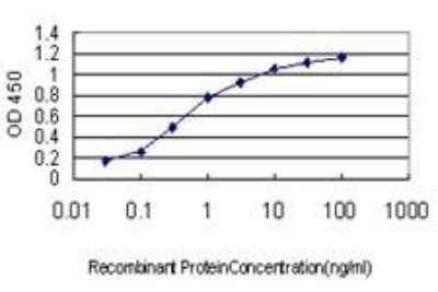 ELISA: M-CSFR/CD115 Antibody (1G4) [H00001436-M01] - M-CSF R Antibody (1G4) [H00001436-M01] - Detection limit for recombinant GST tagged CSF1R is approximately 0.03ng/ml as a capture antibody.