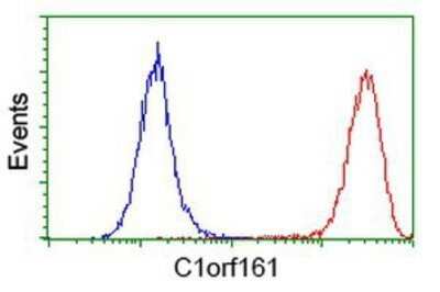 Flow Cytometry: MAB21L3 Antibody (OTI1F6) - Azide and BSA Free [NBP2-72563] - Analysis of Hela cells, using anti-MAB21L3 antibody, (Red), compared to a nonspecific negative control antibody (Blue).