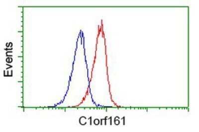Flow Cytometry: MAB21L3 Antibody (OTI1F6) - Azide and BSA Free [NBP2-72563] - Analysis of Jurkat cells, using anti-MAB21L3 antibody, (Red), compared to a nonspecific negative control antibody (Blue).