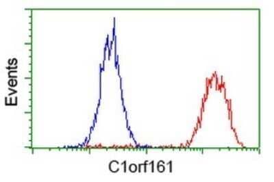 Flow Cytometry: MAB21L3 Antibody (OTI2A3) - Azide and BSA Free [NBP2-72562] - Analysis of Hela cells, using C1orf161 antibody (Red), compared to a nonspecific negative control antibody (Blue).