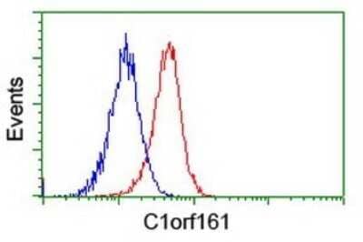 Flow Cytometry: MAB21L3 Antibody (OTI2A3) - Azide and BSA Free [NBP2-72562] - Analysis of Jurkat cells, using C1orf161 antibody (Red), compared to a nonspecific negative control antibody (Blue).