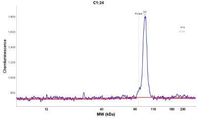 Simple Western: MACC1 Antibody [NBP1-89352] - Electropherogram image(s) of corresponding Simple Western lane view. MACC1 antibody was used at 1:20 dilution on RT-4 lysate(s).