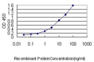 Sandwich ELISA: MAD2L1 Antibody (2E2-1D6) [H00004085-M01] - Detection limit for recombinant GST tagged MAD2L1 is approximately 0.03ng/ml as a capture antibody.