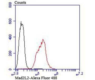Flow Cytometry: MAD2L2 Antibody (JU99-23) [NBP2-75562] - Analysis of Hela cells with Mad2L2 antibody at 1/100 dilution (red) compared with an unlabelled control (cells without incubation with primary antibody; black). Alexa Fluor 488-conjugated goat anti rabbit IgG was used as the secondary antibody.
