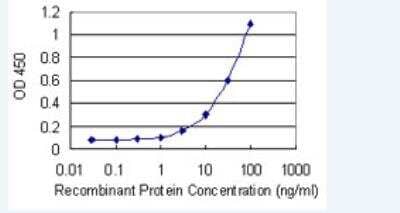 ELISA: MAF1 Antibody (2D6) [H00084232-M02-100ug] - Detection limit for recombinant GST tagged MAF1 is 1 ng/ml as a capture antibody.