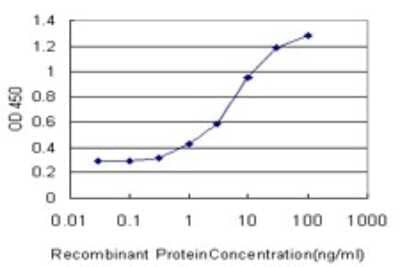 Sandwich ELISA: MAGEA4 Antibody (3D12) [H00004103-M01] - Detection limit for recombinant GST tagged MAGEA4 is approximately 0.3ng/ml as a capture antibody.