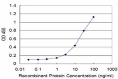 Sandwich ELISA: MAGEB1 Antibody (2A4) [H00004112-M01] - Detection limit for recombinant GST tagged MAGEB1 is approximately 1ng/ml as a capture antibody.