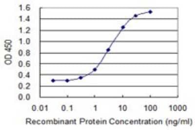 Sandwich ELISA: MAGEB1 Antibody (3C1) [H00004112-M09] - Detection limit for recombinant GST tagged MAGEB1 is 0.1 ng/ml as a capture antibody.