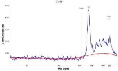 Simple Western: MALT1 Antibody (MT1/410) - Azide and BSA Free [NBP2-33054] - Electropherogram image of the corresponding Simple Western lane. MALT1 antibody was used at 10 ug/ml dilution of HeLa lysates(s) respectively.