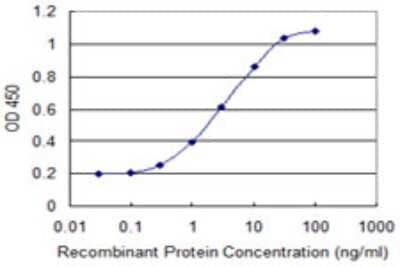 Sandwich ELISA: MAP1S Antibody (4H2) [H00055201-M05] - Detection limit for recombinant GST tagged MAP1S is 0.1 ng/ml as a capture antibody.