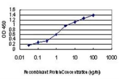 ELISA: MAP4K5 Antibody (3H3) [H00011183-M01] - Detection limit for recombinant GST tagged MAP4K5 is approximately 0.03ng/ml as a capture antibody.