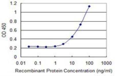 ELISA: MARCH2 Antibody (7F3) [H00051257-M04] - Detection limit for recombinant GST tagged 2-Mar is 1 ng/ml as a capture antibody.
