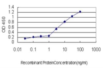 ELISA: MAZ Antibody (6G2) [H00004150-M05] - Detection limit for recombinant GST tagged MAZ is approximately 0.1ng/ml as a capture antibody.