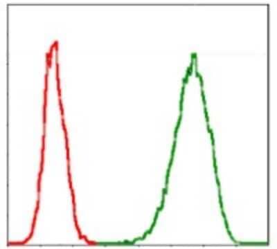 Flow Cytometry: MCM2 Antibody (1E7) [NBP2-37544] - Flow cytometric analysis of Jurkat cells using MCM2 mouse mAb (green) and negative control (red).