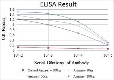 ELISA: MCM2 Antibody (2B3) [NBP2-37566] - Red: Control Antigen (100ng); Purple: Antigen (10ng); Green: Antigen (50ng); Blue: Antigen (100ng);