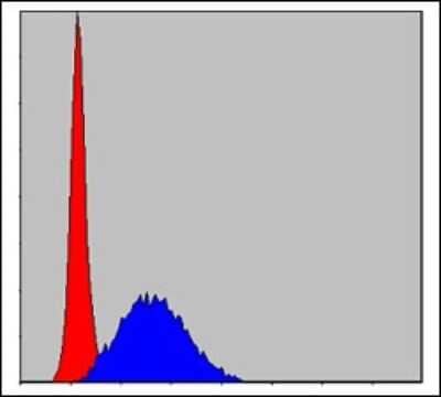 Flow Cytometry: MCM2 Antibody (2B3) [NBP2-37566] - Flow cytometric analysis of Hela cells using MCM2 mouse mAb (blue) and negative control (red).